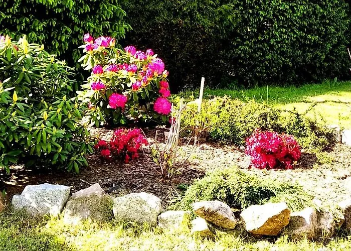 Gluszyca Lomnica Фермерский дом